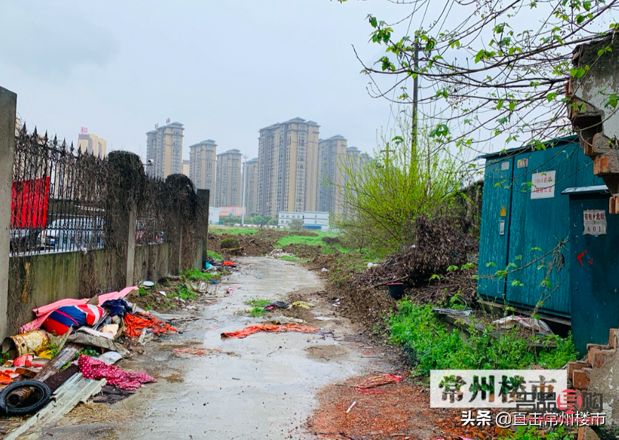 常州金店今日黃金價格多少錢一克2019(常州金店今日黃金價格多少錢一克2019款)