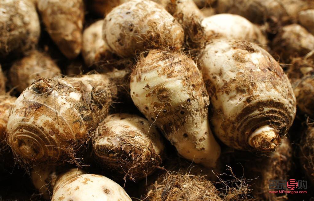 芋頭美容嗎(芋頭美容嗎?)