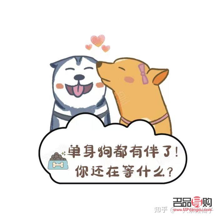 單身相親需要什么禮物(單身相親需要什么禮物呢)