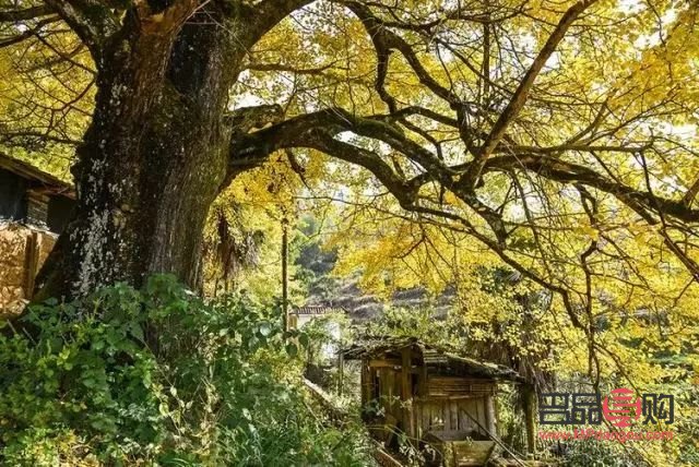 寶山附近黃金回收店(寶山附近黃金回收店地址)