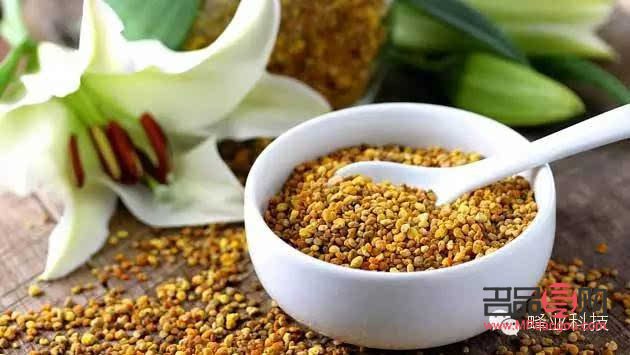 花粉美容功效大比拼，哪種花粉最適合你的肌膚？