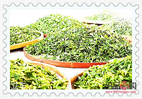 <h3>美容茶的制作與功效</h3>