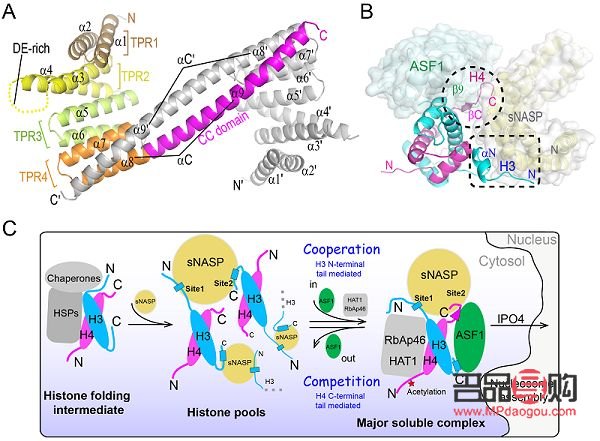 <h3>女兒送的禮物，心中的暖意與感慨</h3>