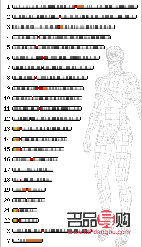 <h3>繪制護理身體分布圖的步驟與技巧</h3>