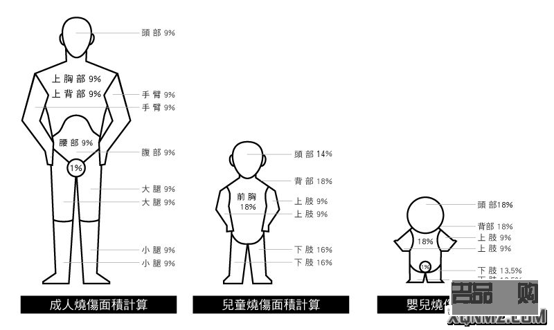 <h3>繪制護理身體分布圖的步驟與技巧</h3>
