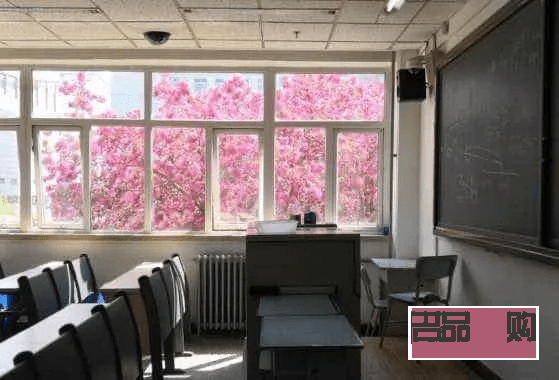 天琦美容怎么樣(天琦美容怎么樣好不好)