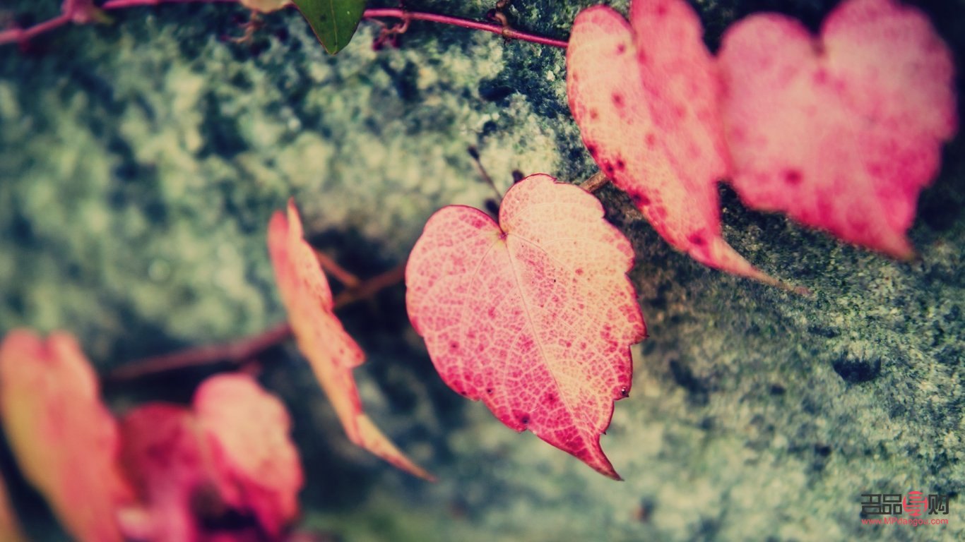 <h3>六一兒童節(jié)，給老公的特別禮物</h3>