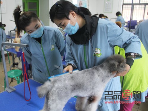 美容月總結(jié)怎么寫(美容月總結(jié)怎么寫 個人)