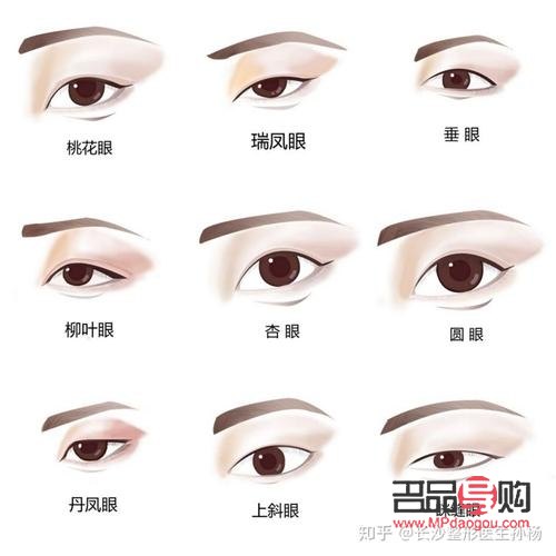 單眼皮眼型的種類圖解(單眼皮眼型的種類圖解大全)