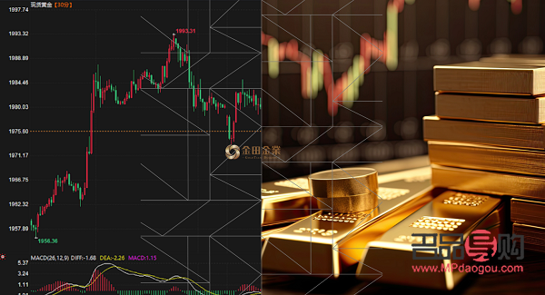 黃金的投資有哪些(黃金的投資有哪些方面)