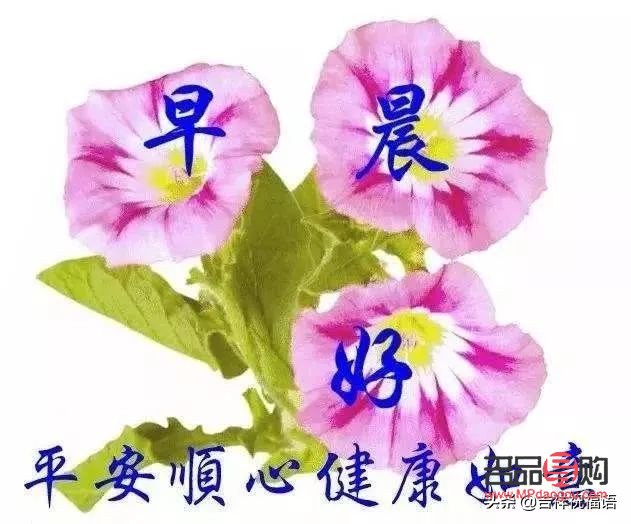 怎么形容美容行業(yè)(怎么形容美容行業(yè)好的句子)