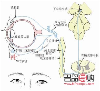 <h3>眼周神經(jīng)痙攣的治療方法</h3>