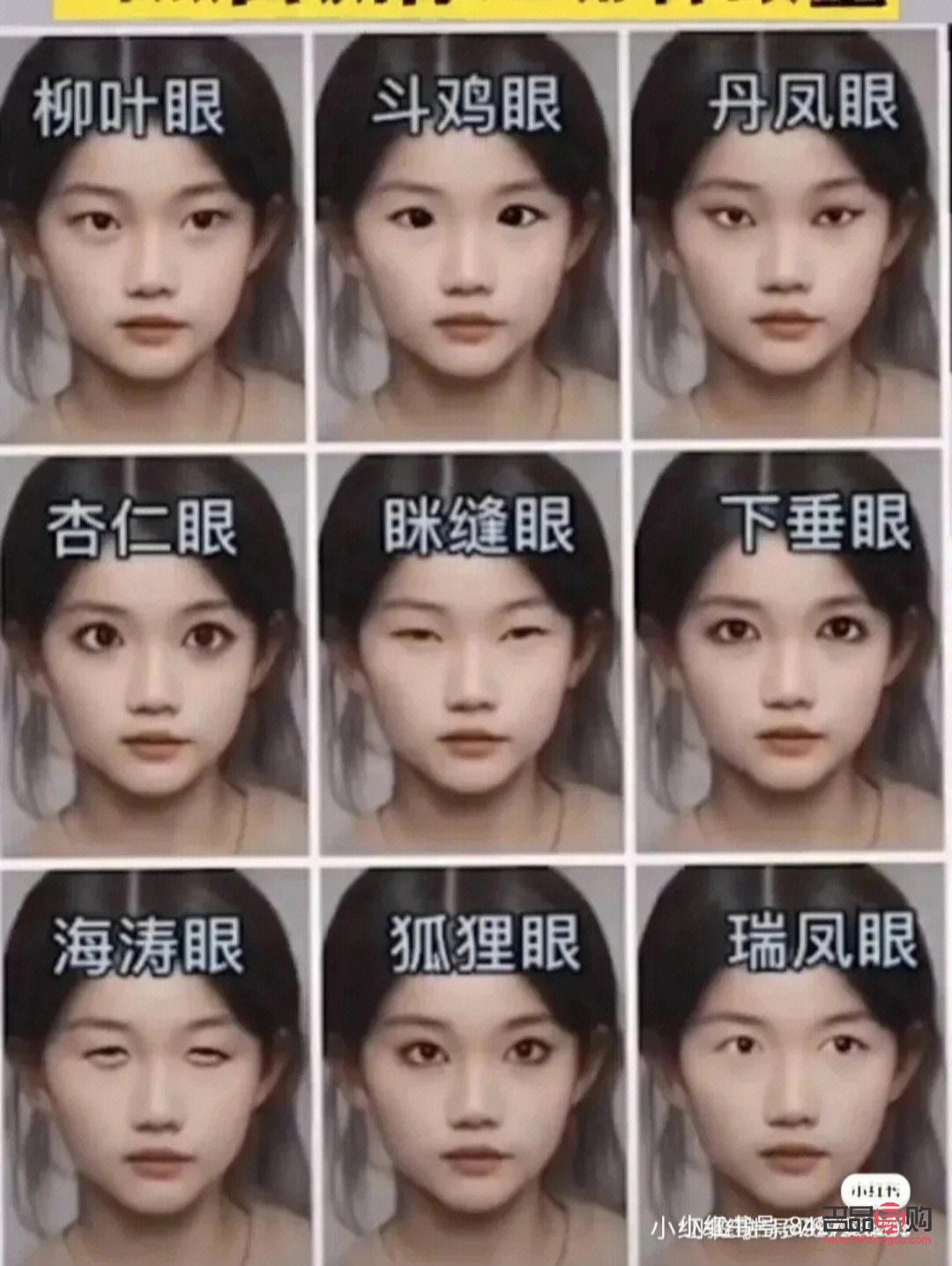 女孩左雙右單是什么眼(女孩左雙右單是什么眼型)