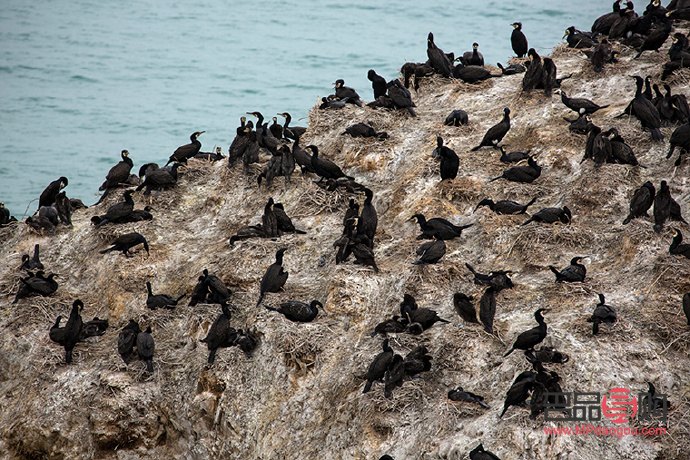眼睛外突出怎么辦(眼睛外突出怎么辦能治好嗎)