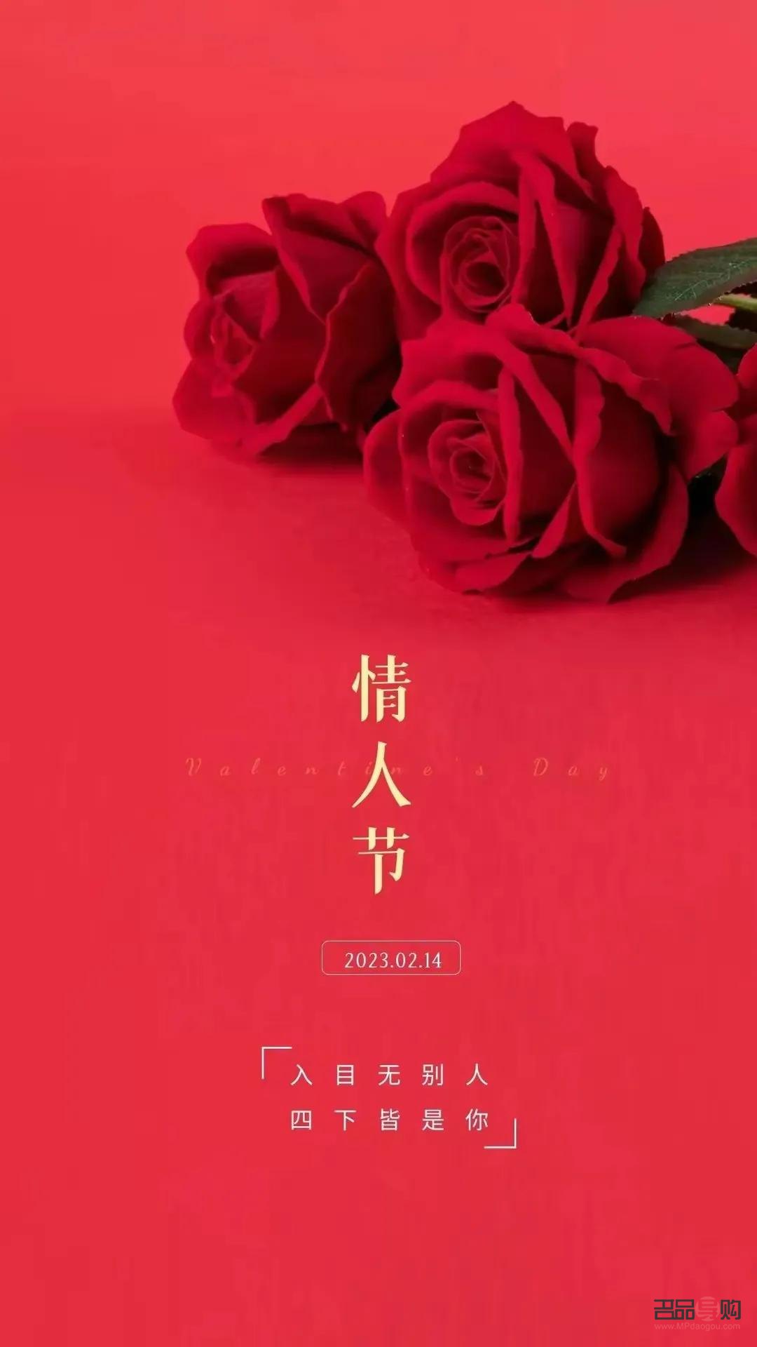 怎么要情人節(jié)的禮物(怎么要情人節(jié)的禮物呢)