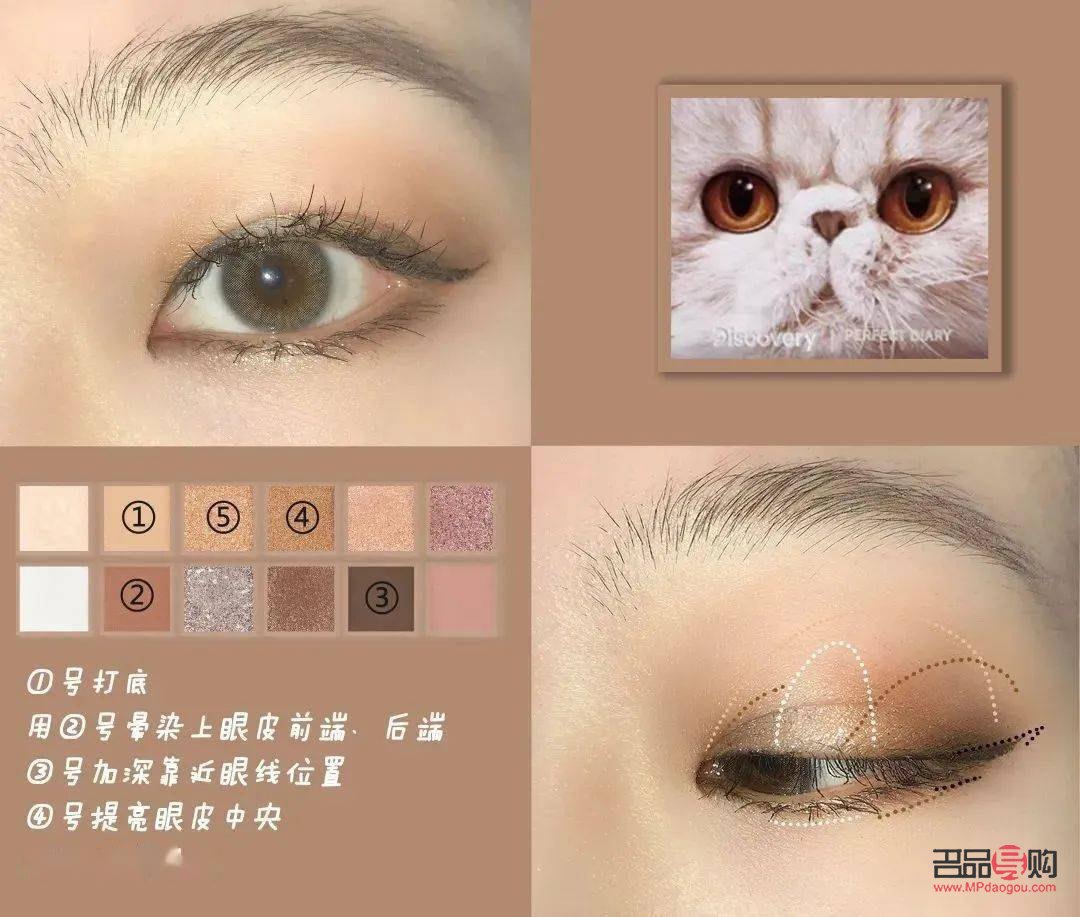 初學(xué)化妝怎樣畫眼妝視頻(初學(xué)化妝怎樣畫眼妝視頻教學(xué))