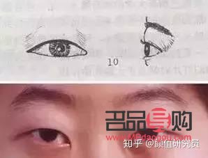 雙眼皮的多樣眼型圖解