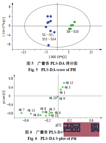 哪個(gè)是美容指(哪個(gè)是美容指紋的標(biāo)志)