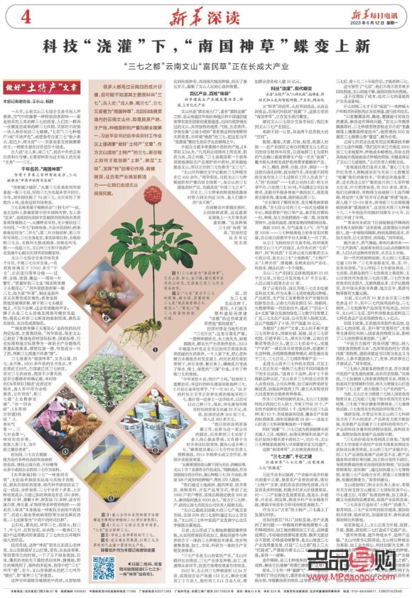 <h3>三七粉美容秘籍：煥發(fā)肌膚光彩的東方神草</h3>