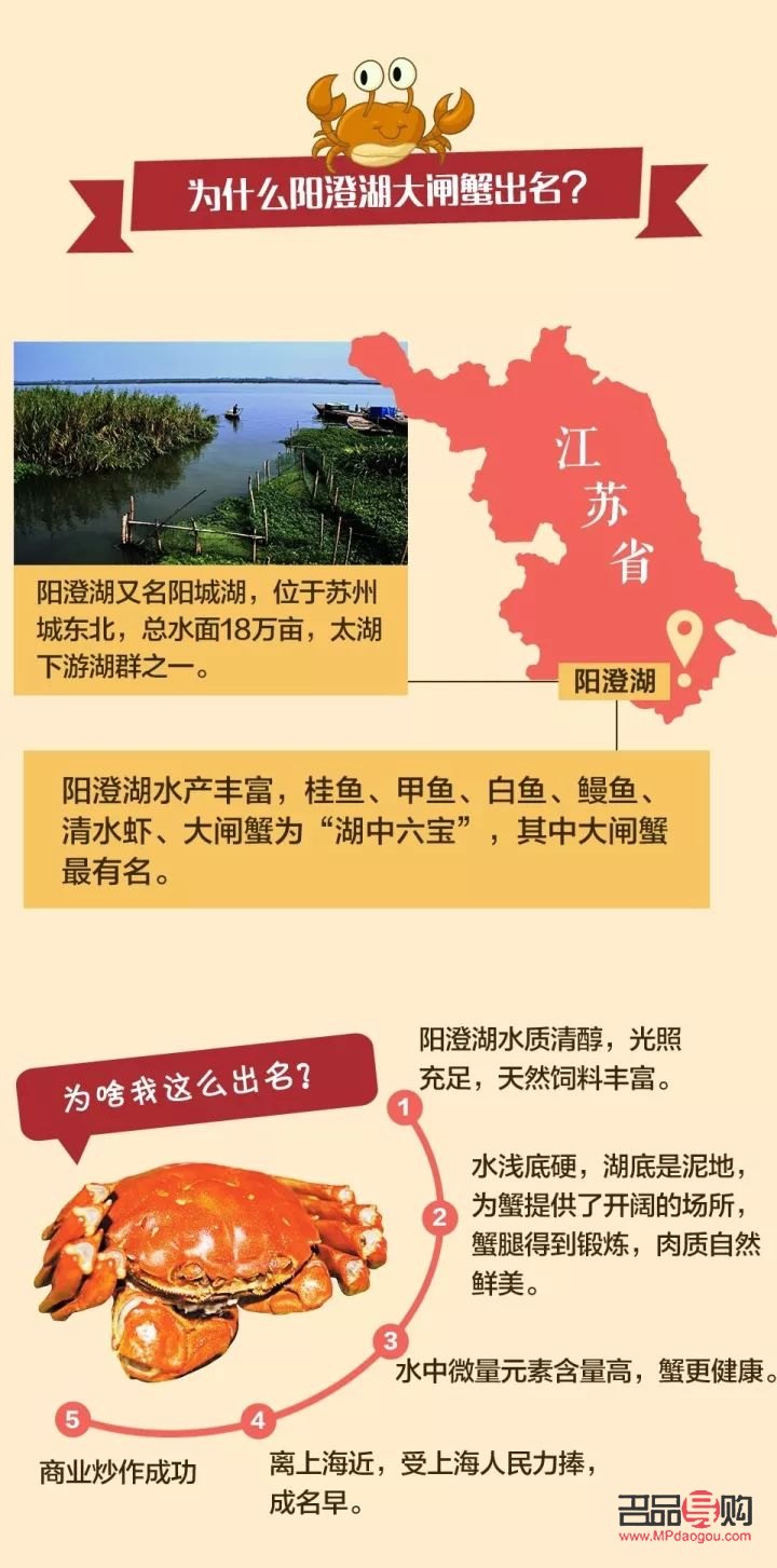 芮臻彩妝如何(芮臻彩妝如何辨別真假)