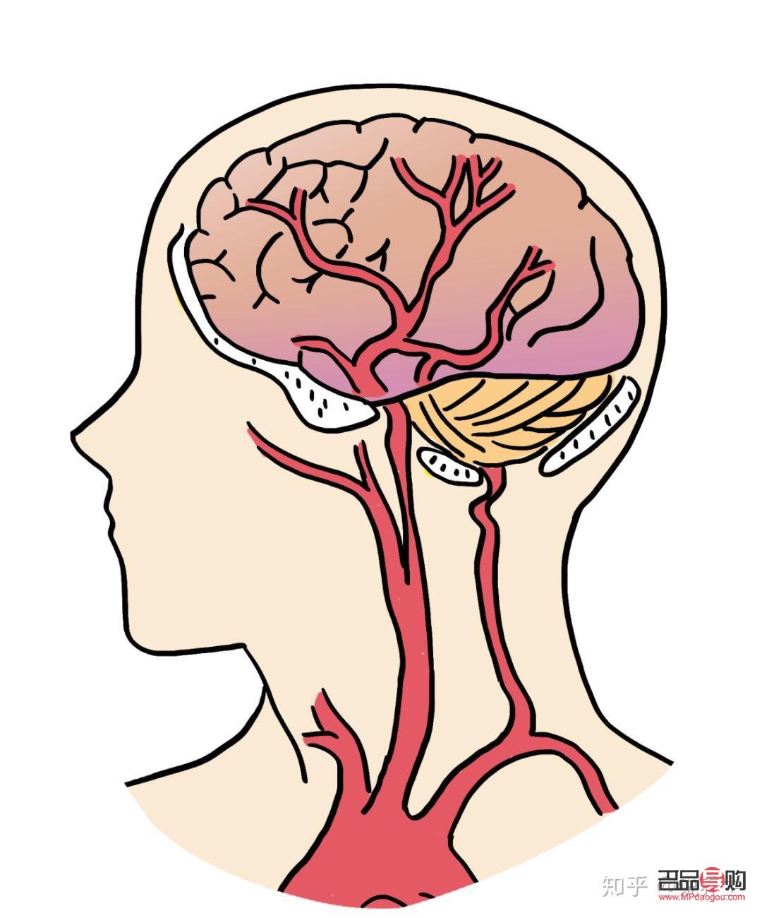 腦?；颊咚投Y指南