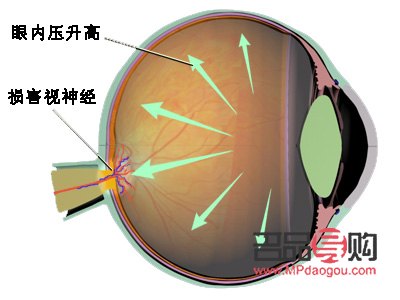 中年之后，如何科學(xué)護(hù)理身體？