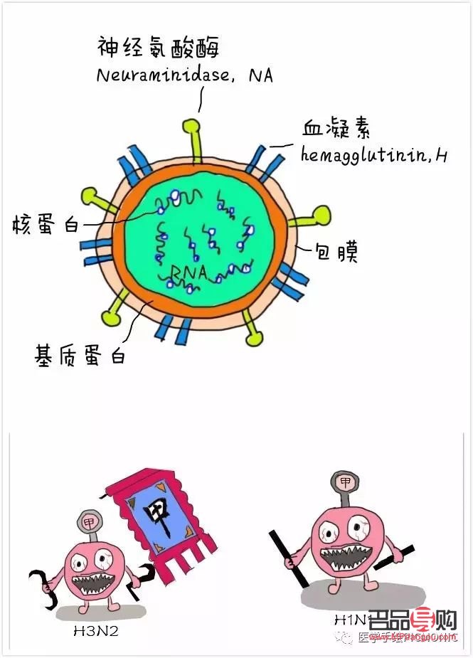 身體感染護(hù)理全攻略
