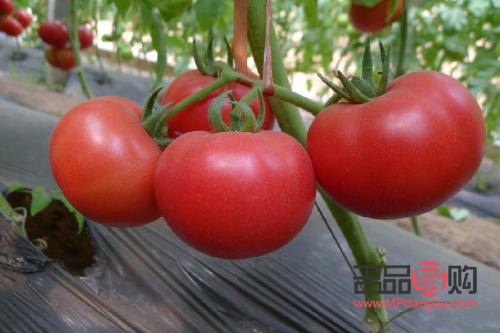 秋天吃什么美容好(秋天吃什么美容好呢)