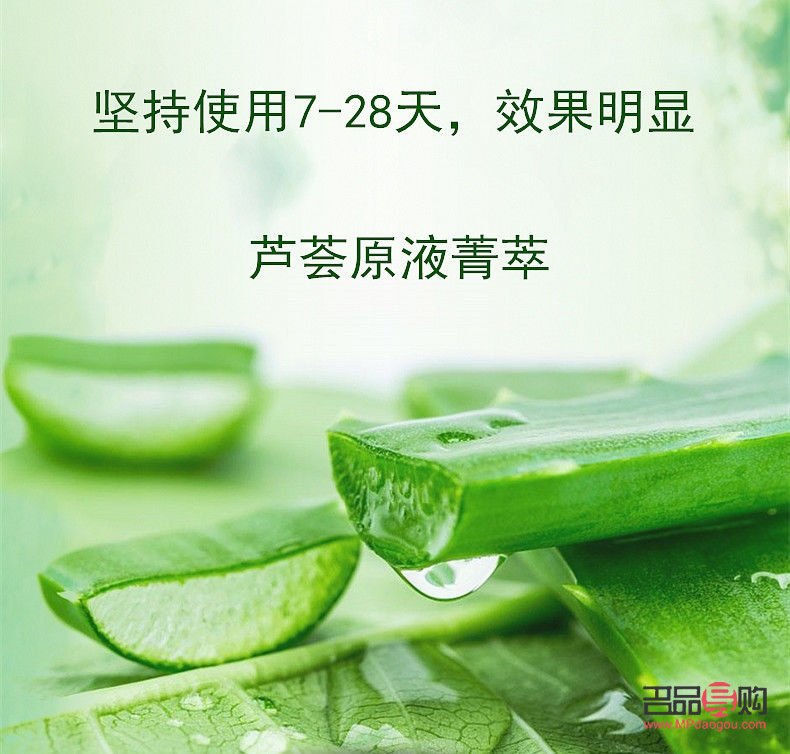 <h1>蘆薈葉的美容奧秘：自然護(hù)膚的絕佳選擇</h1>