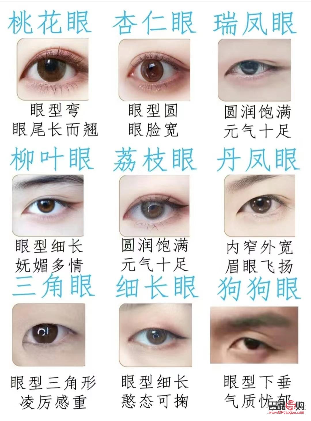 <h3>探索十大最美眼型：魅力之眼，靈魂之窗</h3>