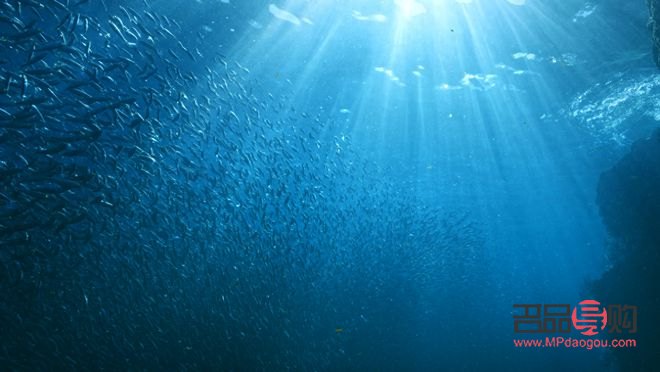 大聲說(shuō)出你的心愿：探討禮物背后的意義與價(jià)值