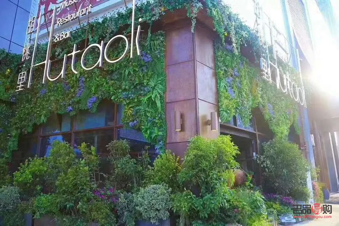 <h3>美容院門口綠化之選：增添雅致的植物推薦</h3>