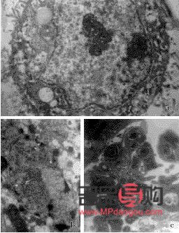 <h3>美容凝膠使用全攻略</h3>