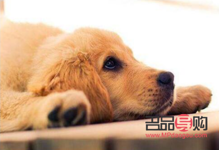 日常怎么護(hù)理身體好(日常怎么護(hù)理身體好呢)