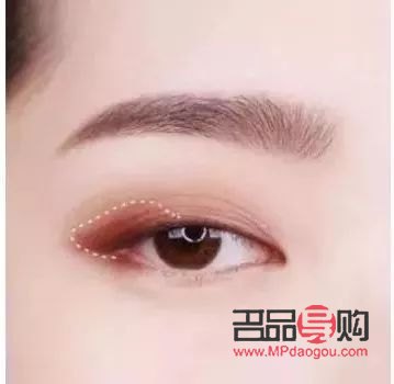 眼影刷分類圖片(眼影刷分類圖片高清)