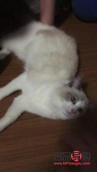 買銀行的金條還是金店里面的金條(買銀行的金條還是金店里面的金條便宜)