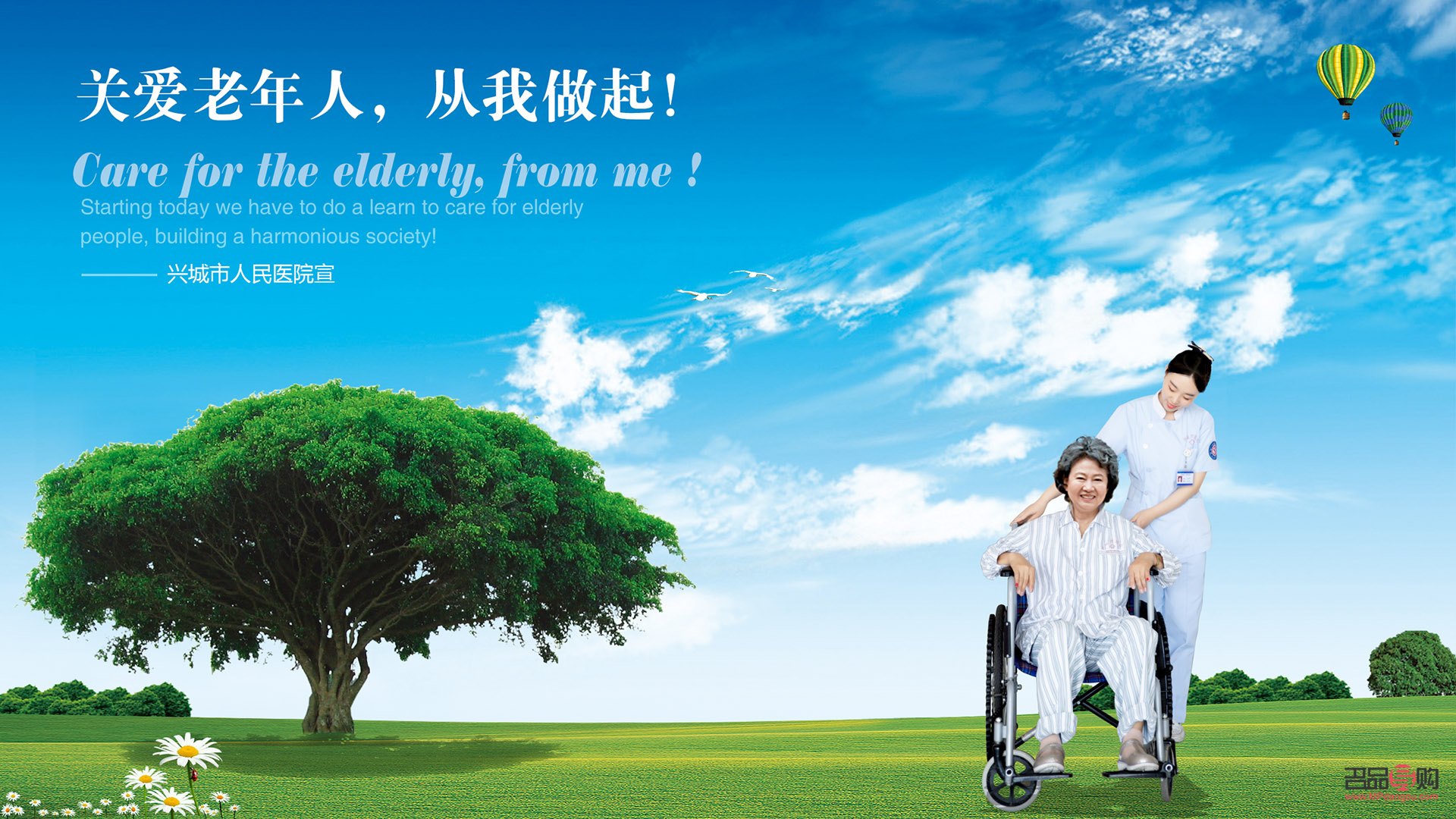 <h3>關(guān)愛長者，科學(xué)護(hù)理老人身體</h3>