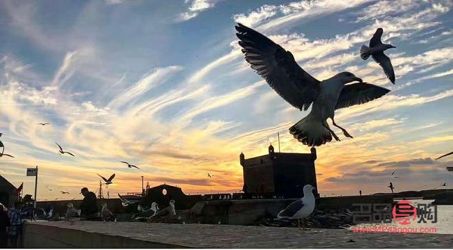 <h3>故宮彩妝下線原因探究</h3>