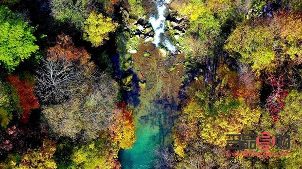 哪兒有學美發(fā)美容(哪兒有學美發(fā)美容的地方)