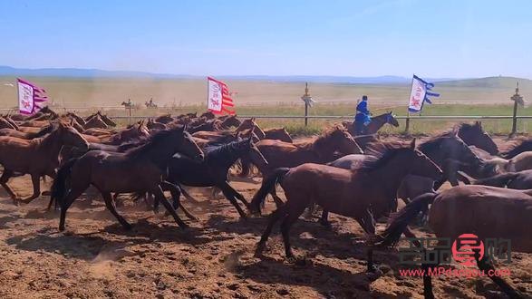 美容冠會掉么(美容冠會輕易掉下來嗎)