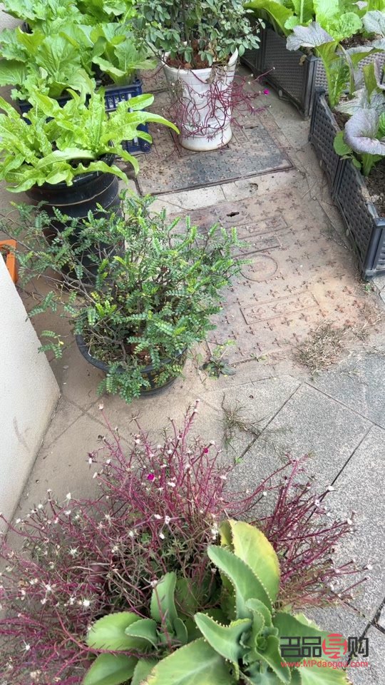 <h3>四大行投資金條實(shí)時(shí)查詢指南</h3>