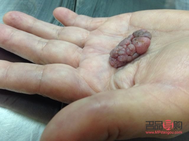 為什么要做美容師(為什么要做美容師的理由)