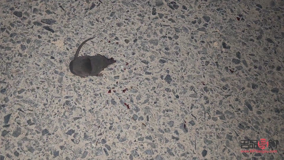 雙嶼哪家美容院好(雙嶼哪家美容院好點(diǎn))