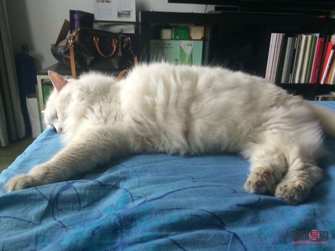 <h3>懷孕身體護(hù)理全攻略：呵護(hù)未來(lái)媽媽和寶寶的健康</h3>