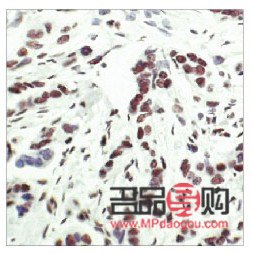 為寶媽挑選生日禮物，溫馨實用最重要