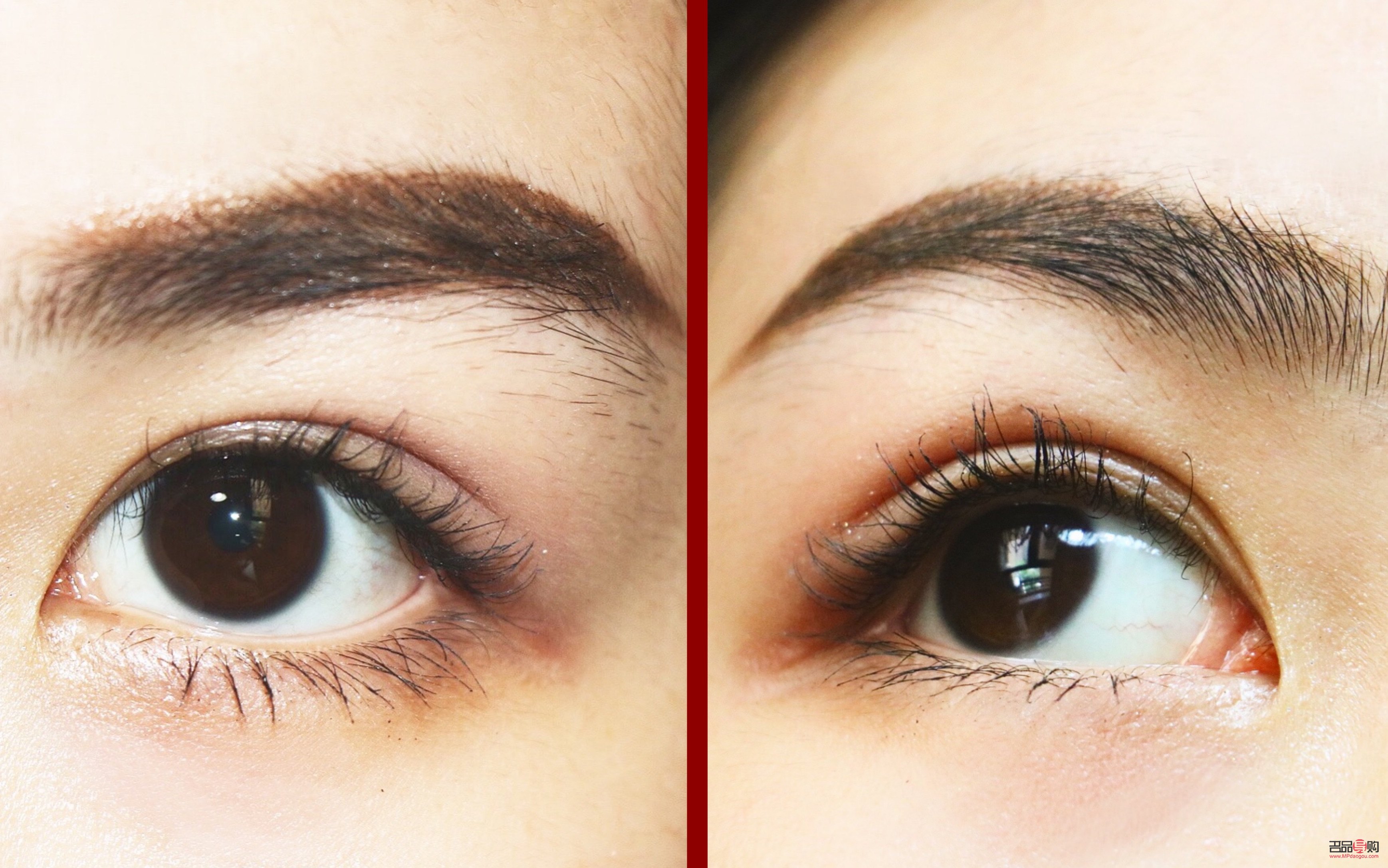 燙睫毛圖片 效果圖眼尾下垂(燙睫毛圖片 效果圖眼尾下垂怎么辦)