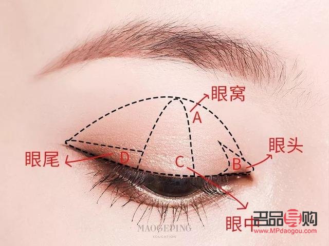 手把手教你畫眼影(手把手教你畫眼影教程)