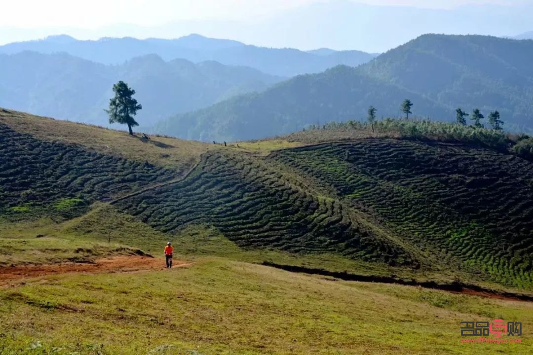 <h3>探索美容院：美麗之旅的起點</h3>