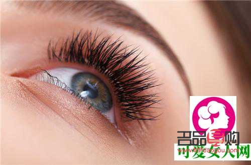 <h3>6D翹睫雙眼皮：塑造迷人電眼的秘密武器</h3>