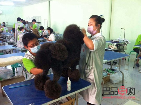 美容行業(yè)正規(guī)嗎(美容行業(yè)正規(guī)嗎現(xiàn)在)